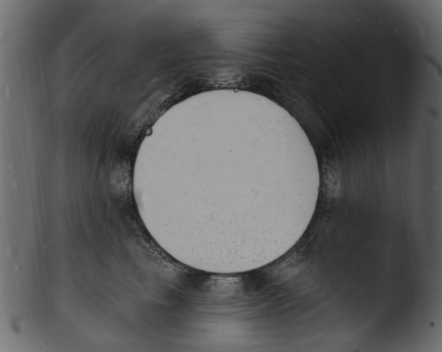 X0000103970665200810101309