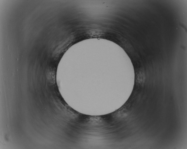 X0000103970666200810101309