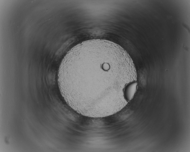 X0000103970668200810101309