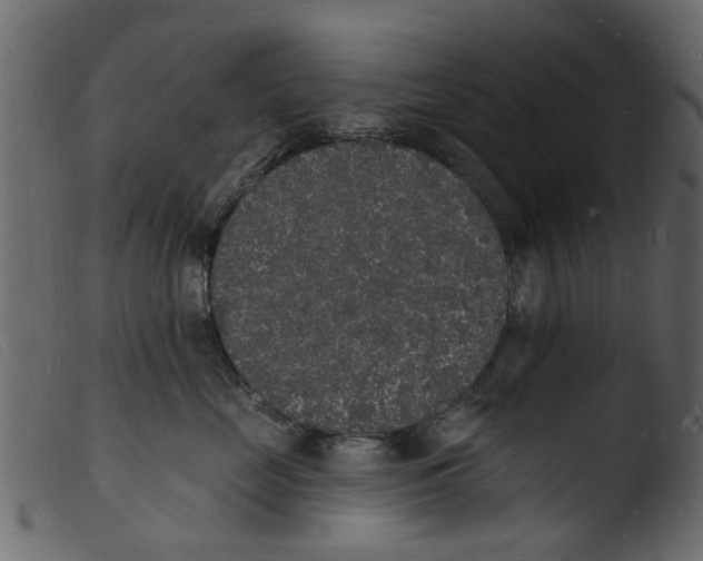 X0000103970669200810101309