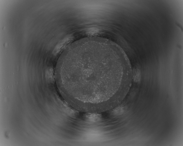 X0000103970670200810101309