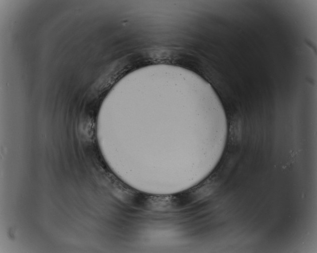 X0000103970671200810101309