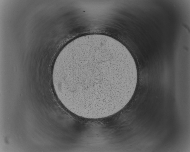 X0000103970673200810101309