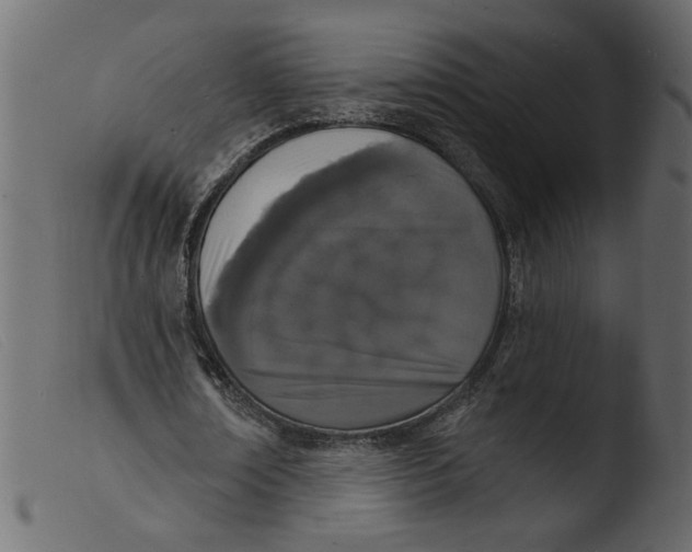 X0000103970674200810101309