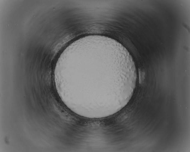 X0000103970675200810101309