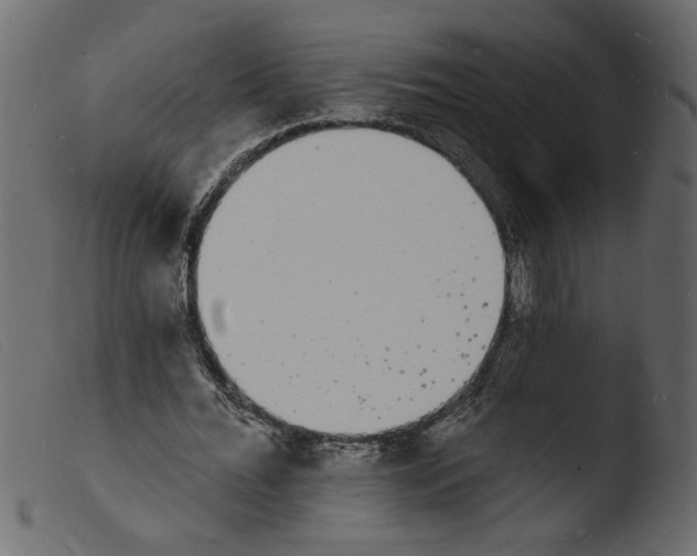 X0000103970676200810101309