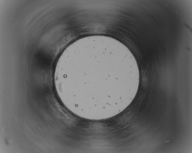 X0000103970677200810101309