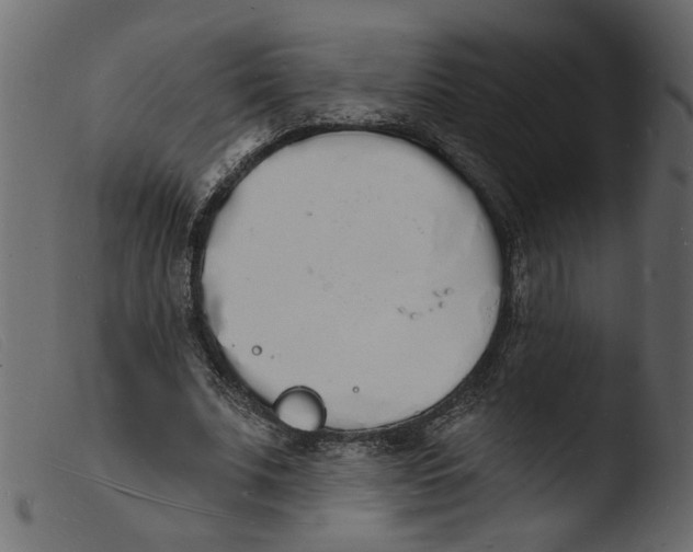 X0000103970679200810101309