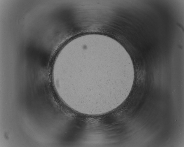 X0000103970680200810101309