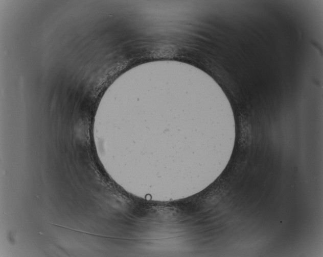 X0000103970681200810101309