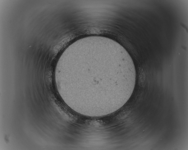 X0000103970683200810101308