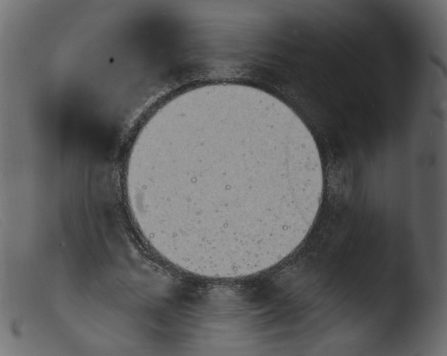 X0000103970684200810101308