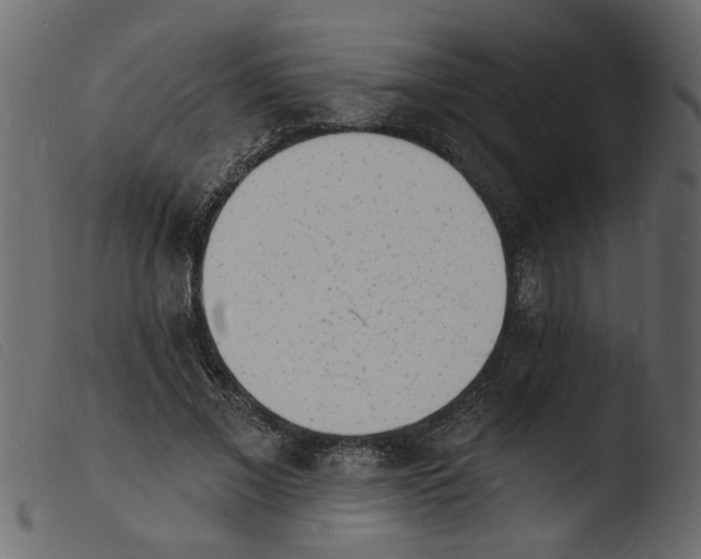 X0000103970685200810101308