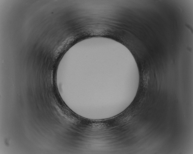 X0000103970686200810101308