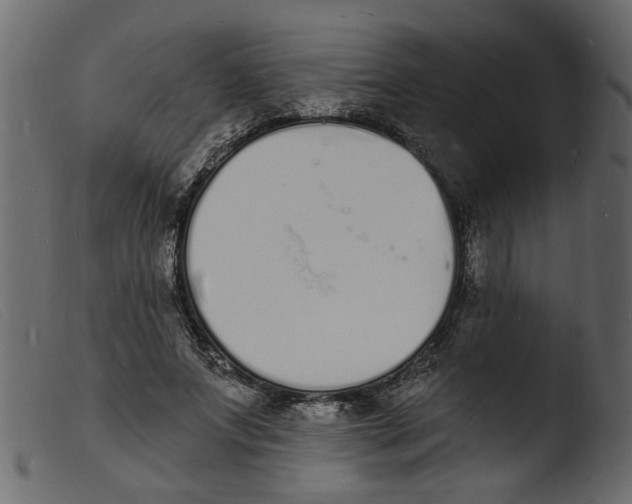 X0000103970687200810101308