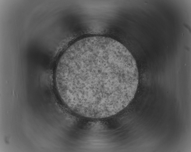 X0000103970688200810101308