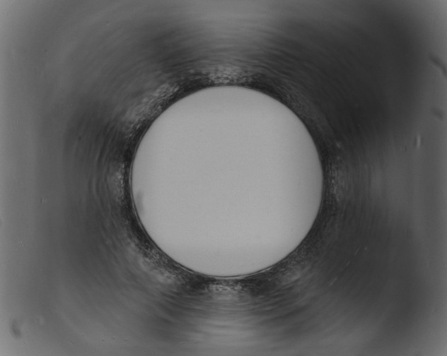 X0000103970690200810101308