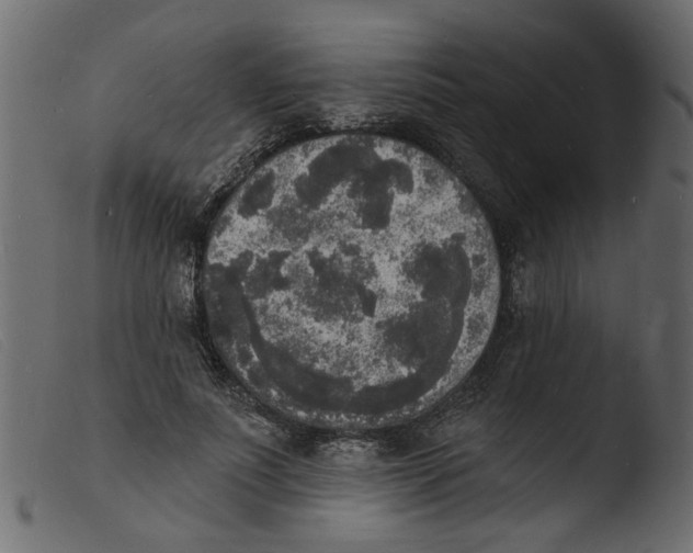 X0000103970691200810101308