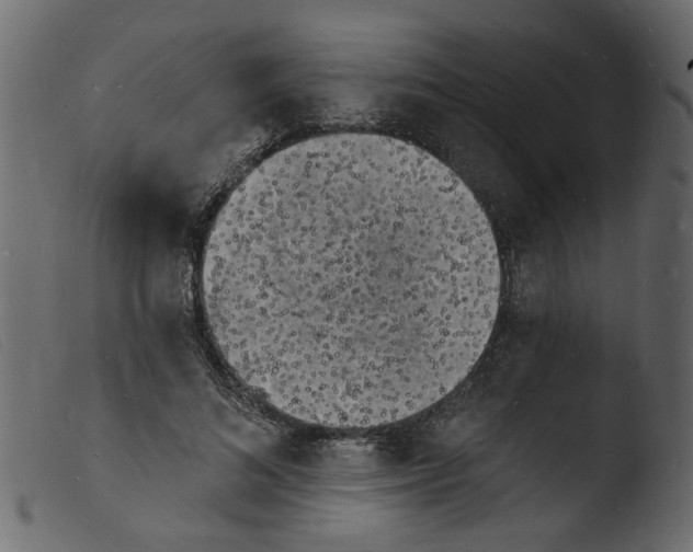 X0000103970692200810101308