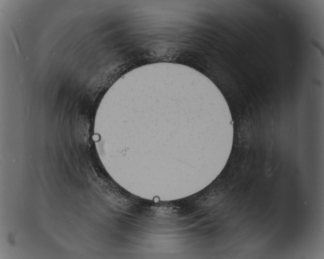 X0000103970693200810101308