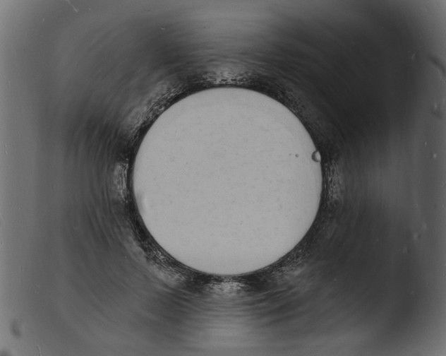 X0000103970695200810101308