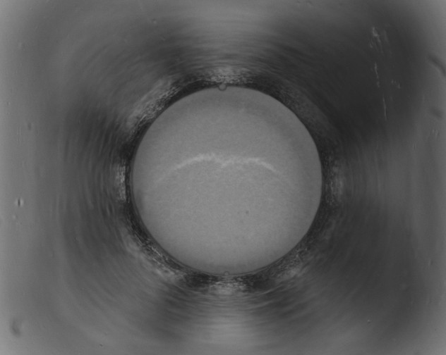 X0000103970696200810101308