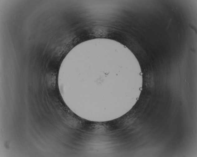 X0000103970697200810101308