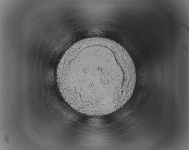 X0000103970699200810101308