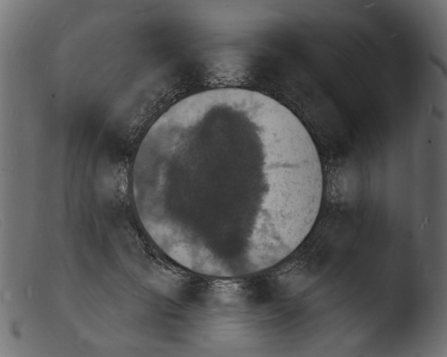 X0000103970701200810101308