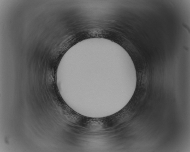 X0000103970702200810101308