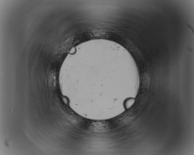 X0000103970703200810101308