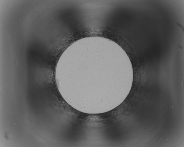 X0000103970704200810101308