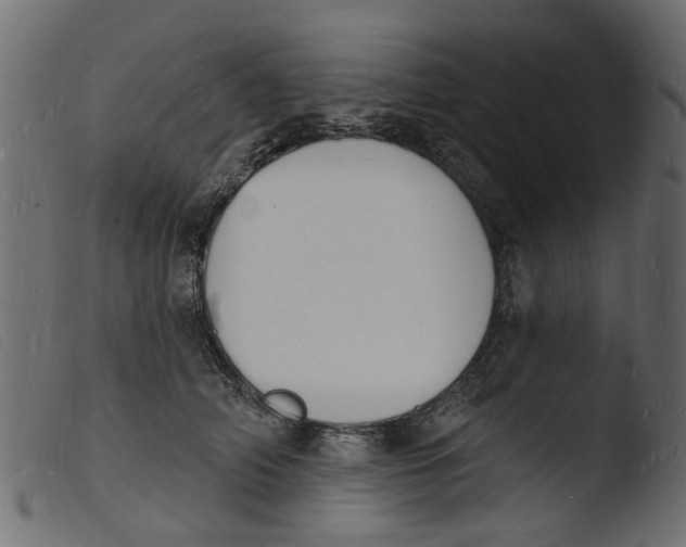 X0000103970706200810101308