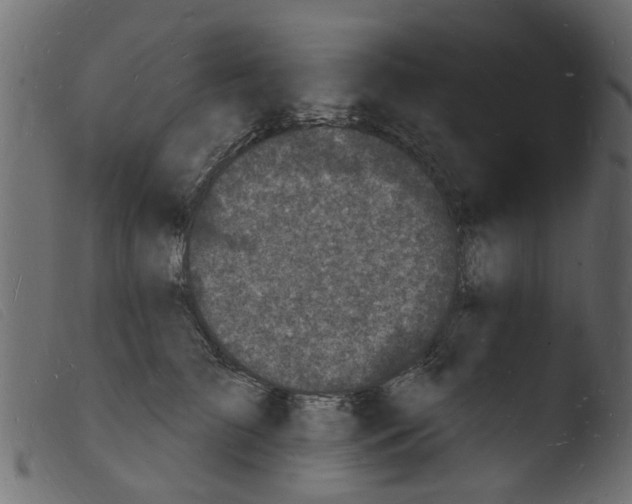 X0000103970709200810101308