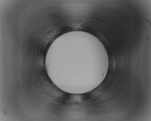 X0000103970710200810101308