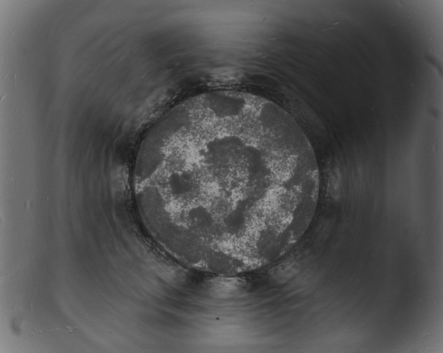 X0000103970711200810101308