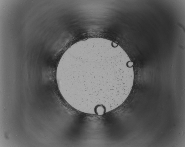 X0000103970712200810101308