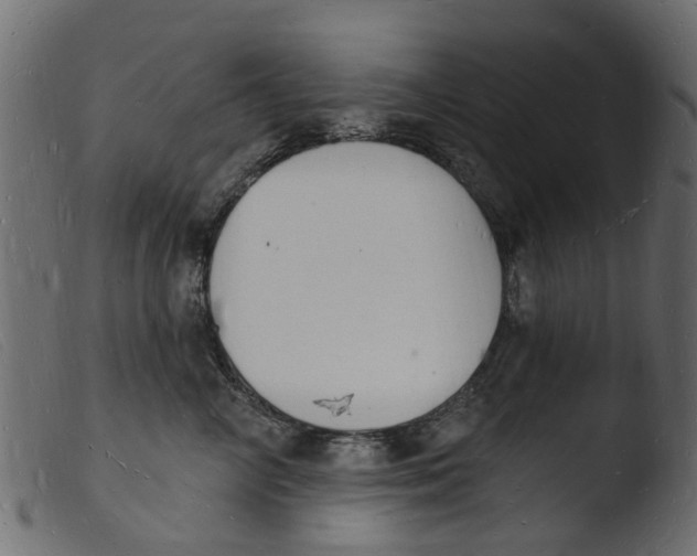 X0000103970714200810101308