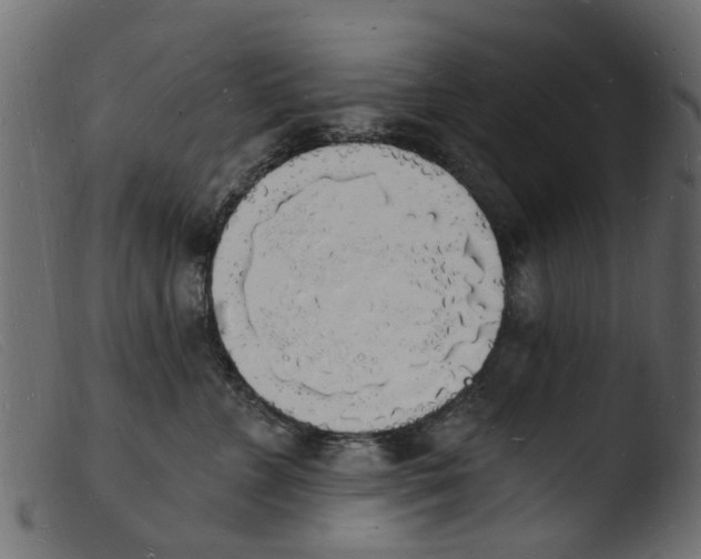 X0000103970715200810101308