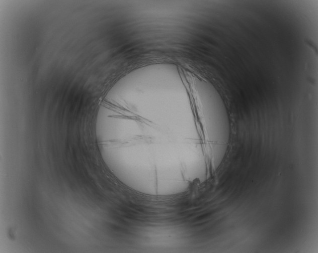 X0000103970717200810101308