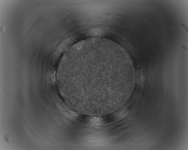 X0000103970718200810101308