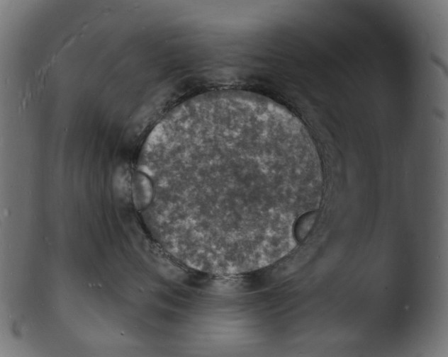 X0000103970720200810101308