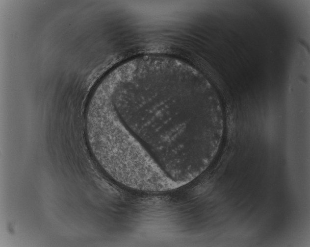 X0000103970721200810101307