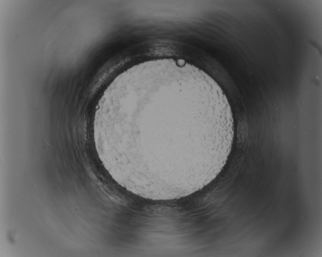 X0000103970722200810101307