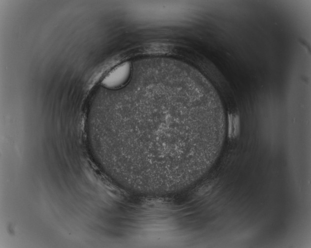 X0000103970723200810101307