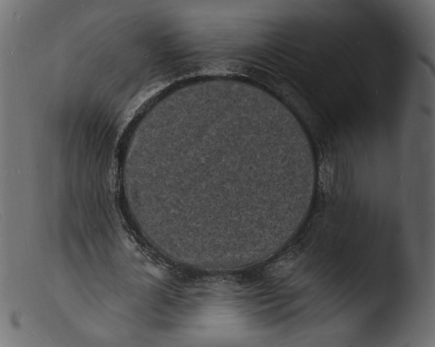 X0000103970724200810101307