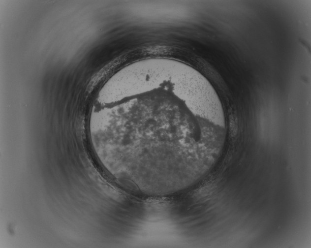 X0000103970725200810101307