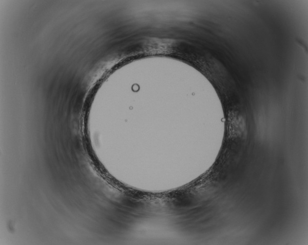 X0000103970726200810101307