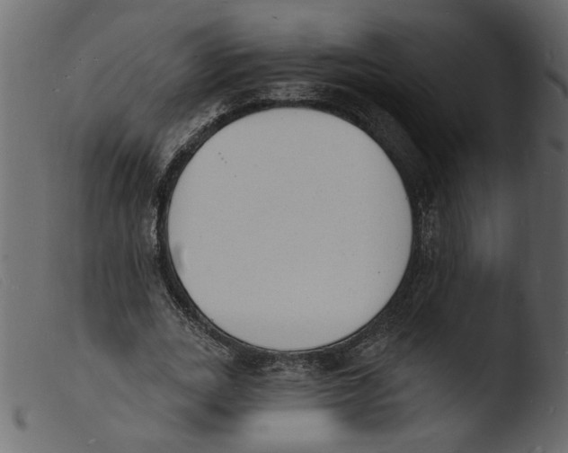 X0000103970727200810101307