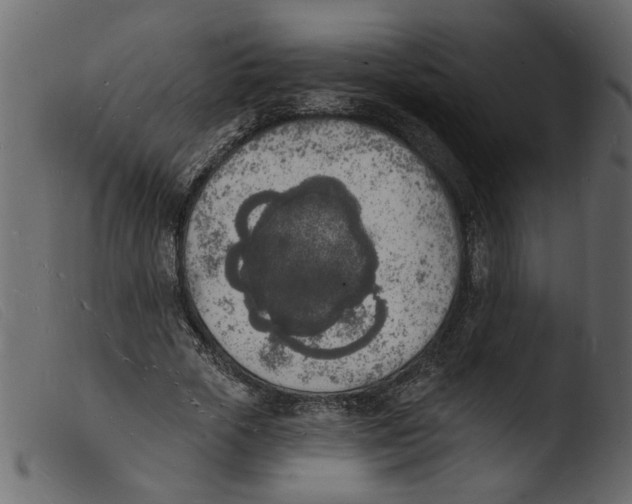 X0000103970729200810101307